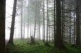 /album/fotogaleria-krajina/16/