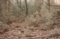 /album/fotogaleria-krajina/17/