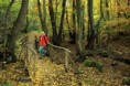 /album/fotogaleria-krajina/18/