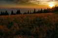 /album/fotogaleria-krajina/21/