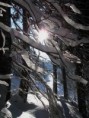 /album/fotogaleria-krajina/pict0675pppp-jpg/