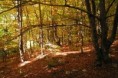 /album/fotogaleria-krajina/pict5153kk-jpg/